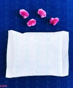 túi giữ lạnh – Đá Gel 
