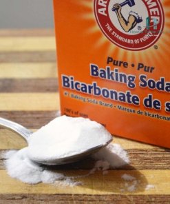 Sodium Bicarbonate (NaHCO3)